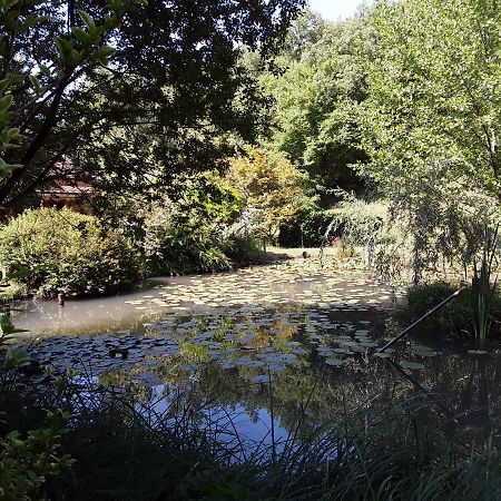 Le Chalet De La Grenouille Verte Tursac エクステリア 写真