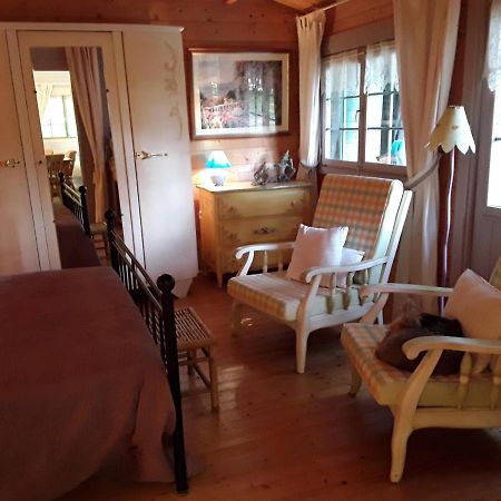 Le Chalet De La Grenouille Verte Tursac エクステリア 写真